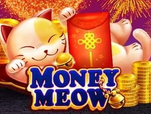 Money Meow screenshot